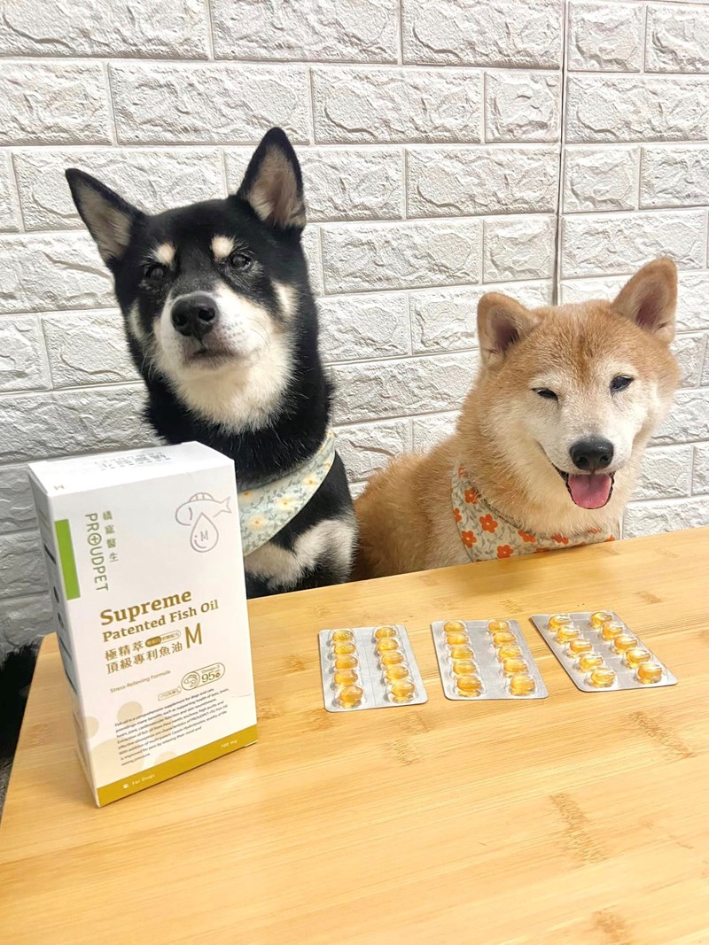 試用